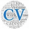 Big Data May Be the Future, But the CV is Still King